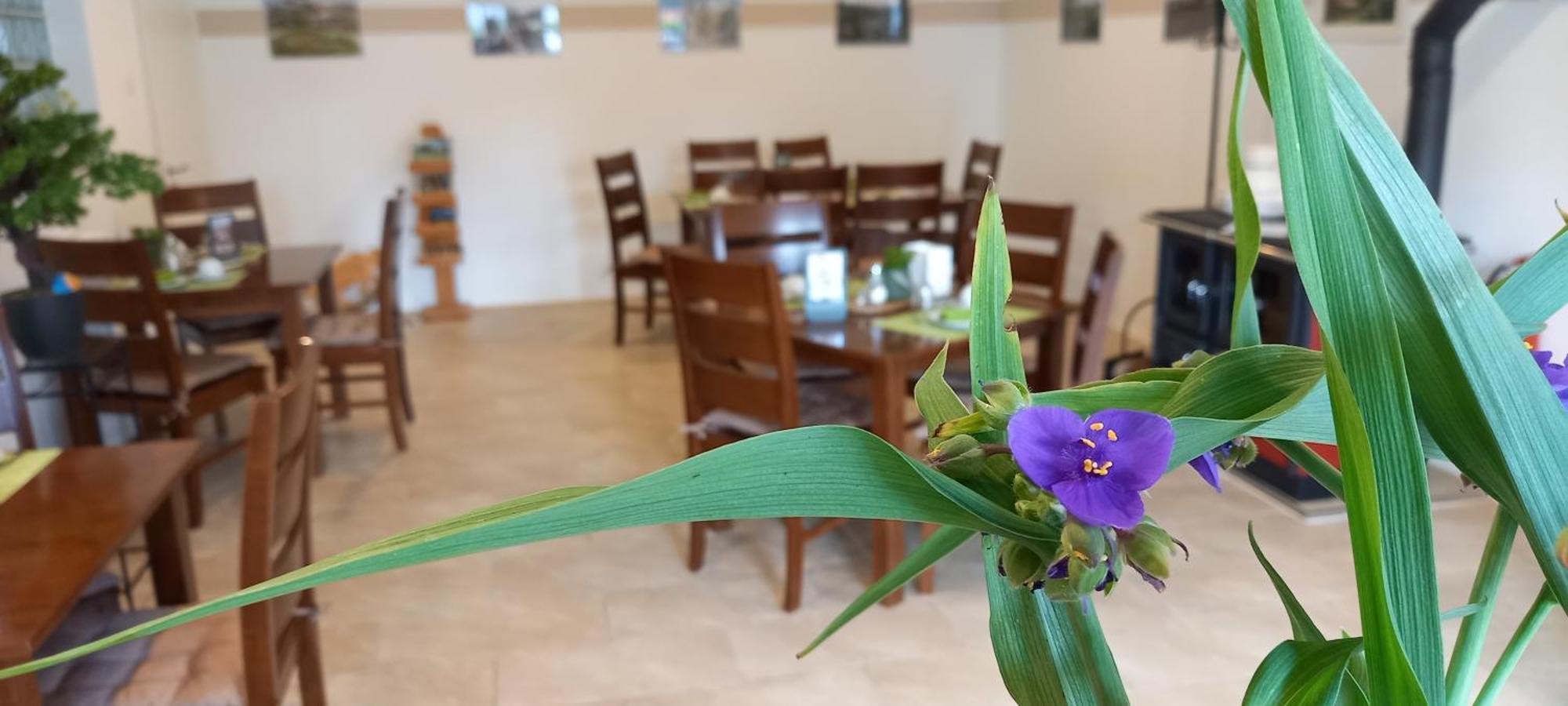Gaestehaus Wohngut Eisenach Dış mekan fotoğraf
